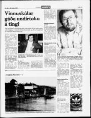 Síða 19