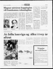 Síða 13