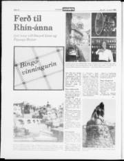 Síða 14