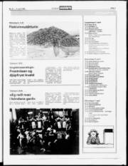 Síða 27