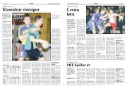 Síða 14