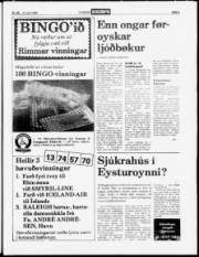 Síða 3