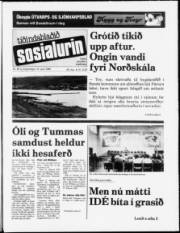 Síða 1