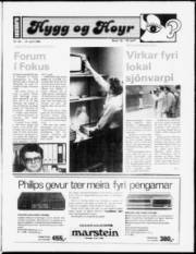 Síða 20