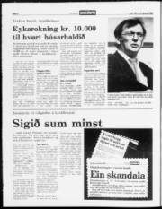 Síða 2