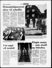 Síða 3