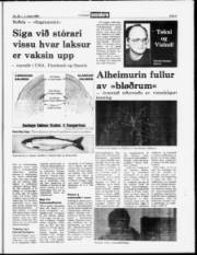 Síða 9