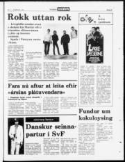 Síða 23