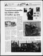 Síða 24