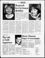 Síða 3