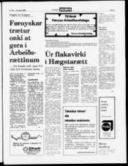 Síða 5