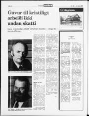 Síða 22