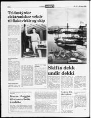 Síða 2