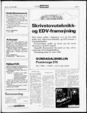 Síða 19