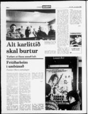 Síða 2