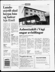 Síða 3