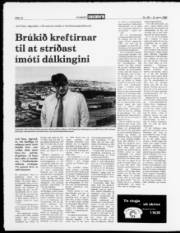 Síða 12
