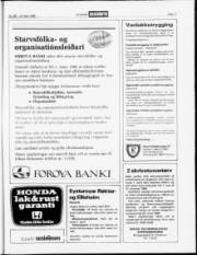 Síða 17