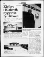 Síða 8