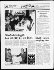 Síða 24