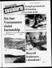Síða 1