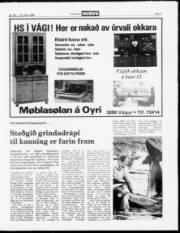 Síða 9