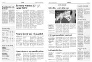 Síða 16