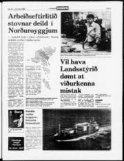 Síða 3