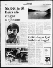 Síða 4
