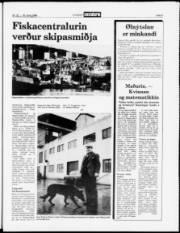 Síða 5