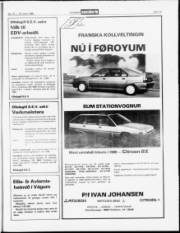 Síða 15