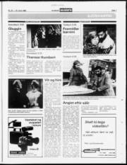 Síða 31