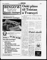 Síða 3