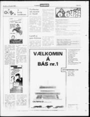 Síða 23
