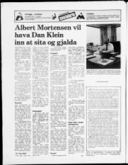 Síða 24