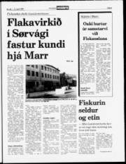 Síða 5