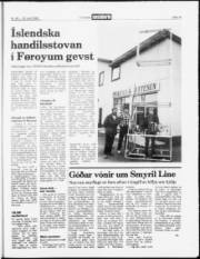Síða 19