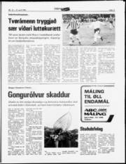 Síða 11