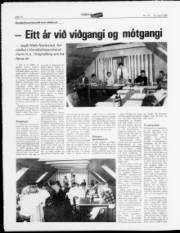Síða 12