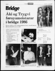 Síða 20