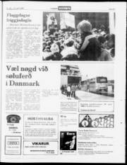 Síða 23