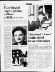 Síða 4
