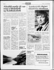 Síða 8