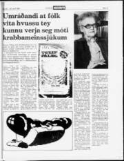 Síða 13