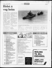Síða 19