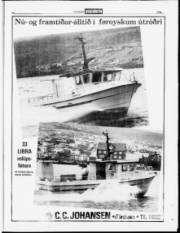 Síða 19