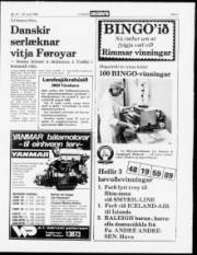Síða 3