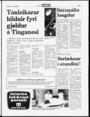 Síða 5