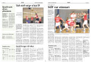 Síða 13
