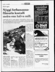 Síða 17